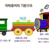 의학용어 기본구조