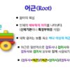 의학용어 어근