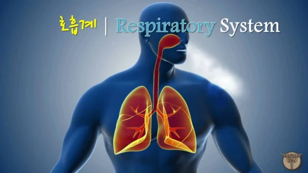 그림으로 배우는 의학용어