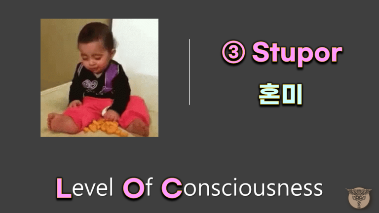 ③ Stupor 혼미